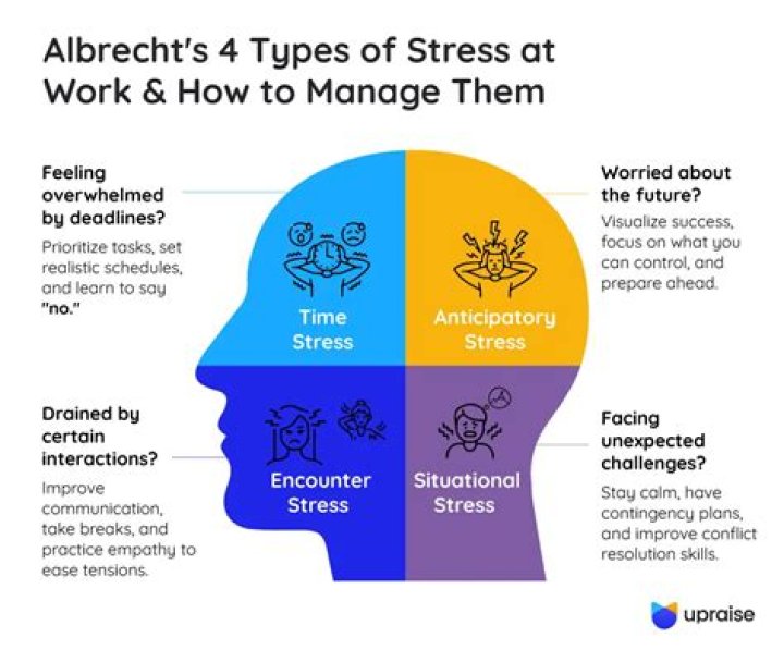 What are the 4 types of stressors?