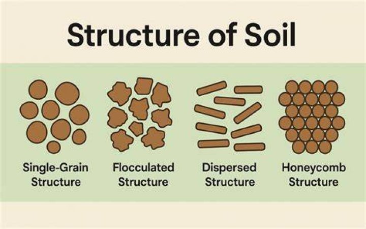 What are the 5 basic types of soil structure?
