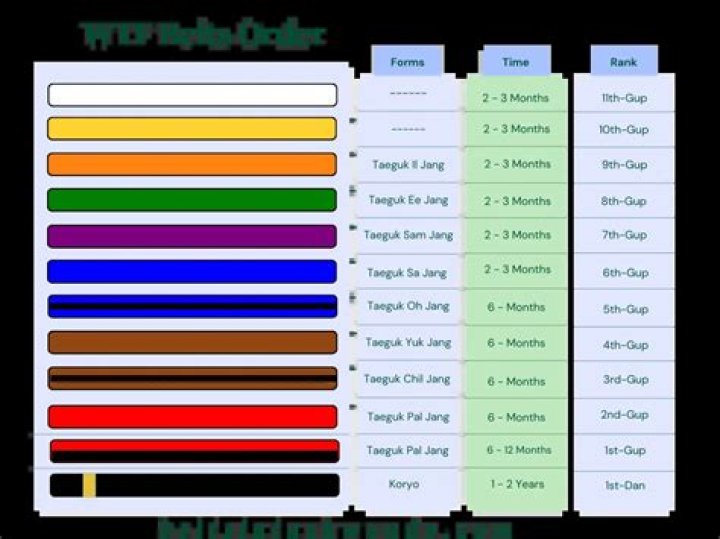 What are the belt levels in Taekwondo?