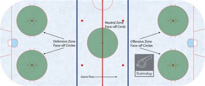 What are the circles for in hockey?