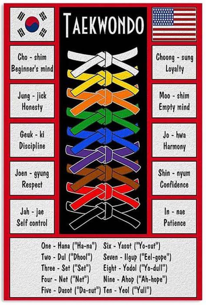 What are the Taekwondo belts?