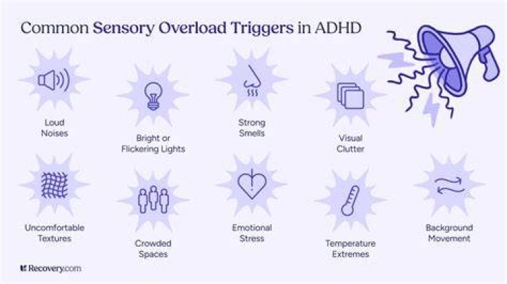 What are the triggers for ADHD?