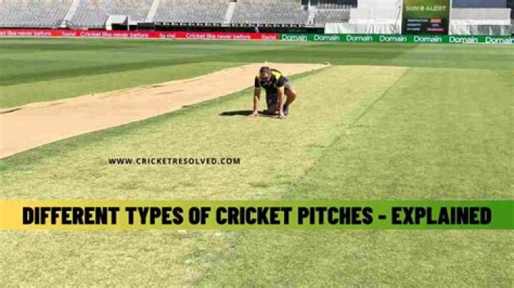 What are the types of pitches in cricket?