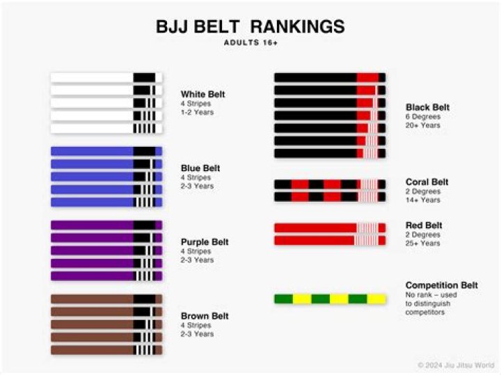 What belt do you start with in BJJ?