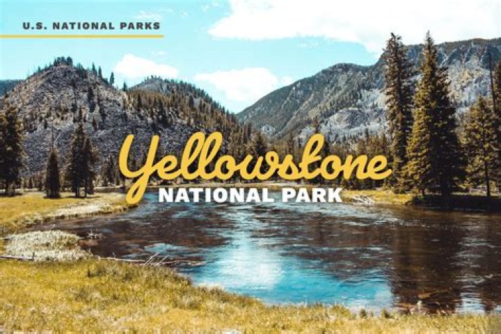 What can you not do at Yellowstone National Park?