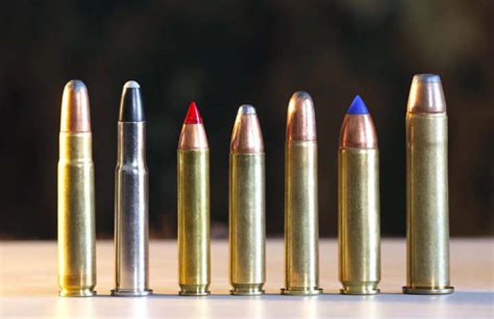 What cartridges can a 357 Magnum shoot?