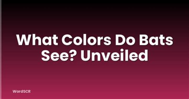 What colors do bats see?