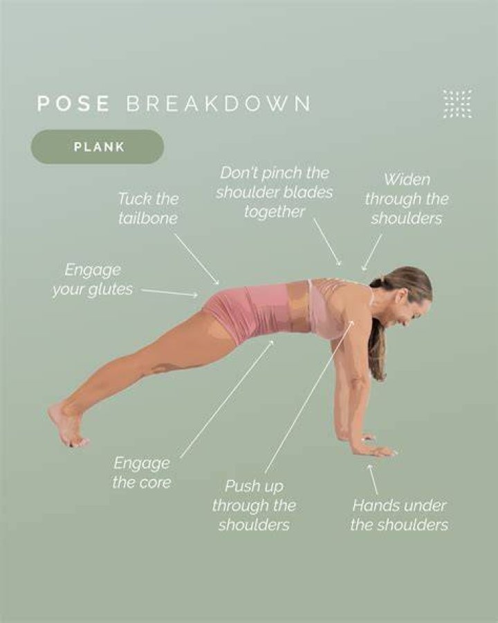 What do plank rows target?