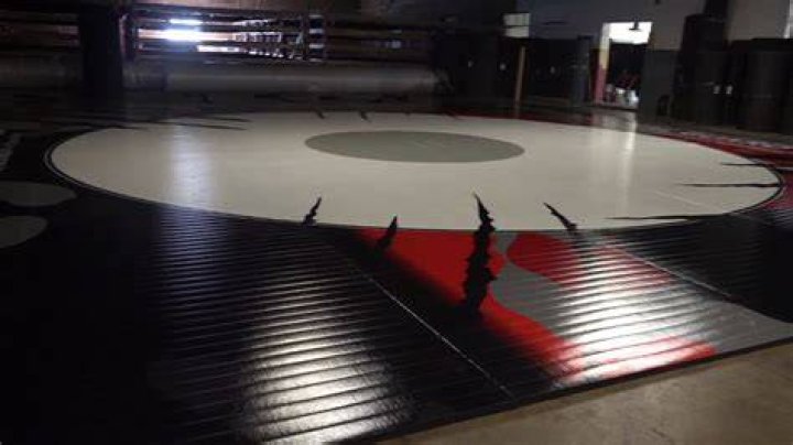 What do you get from wrestling mats?