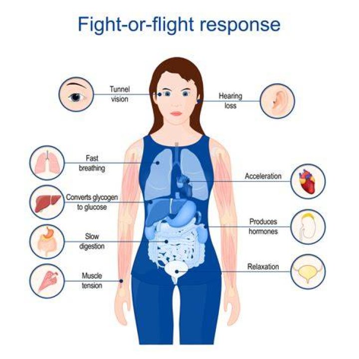 What does a hug do to your body?
