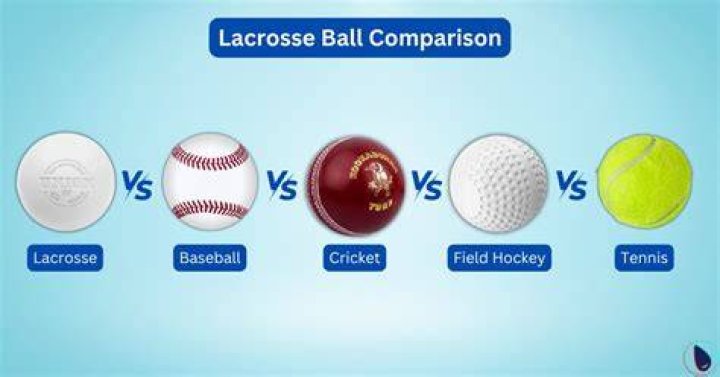 What does a lacrosse ball look like?