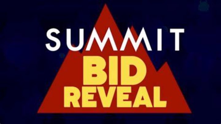 What does a paid summit bid include?