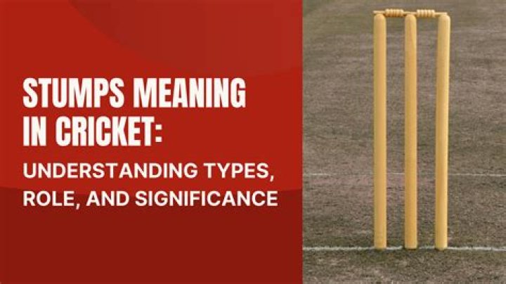 What does Caught mean in cricket?