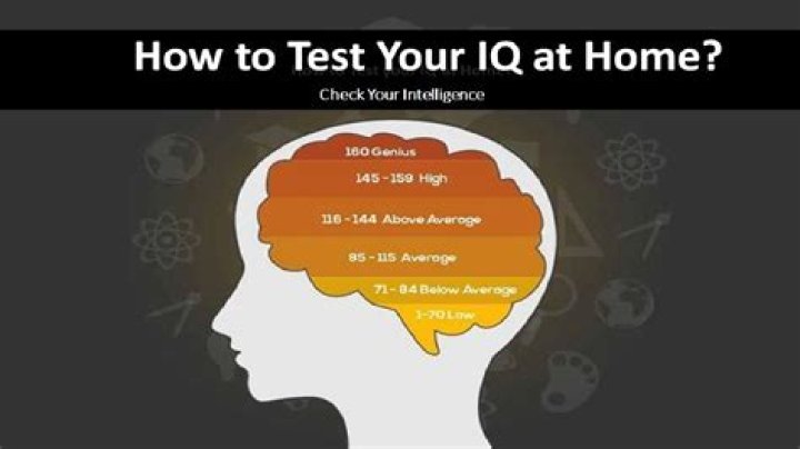 What does hockey IQ mean?