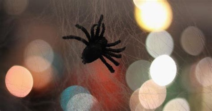 What does it mean if you see a spider on Halloween?