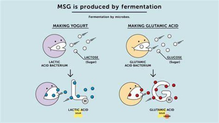 What does MSG stand for?