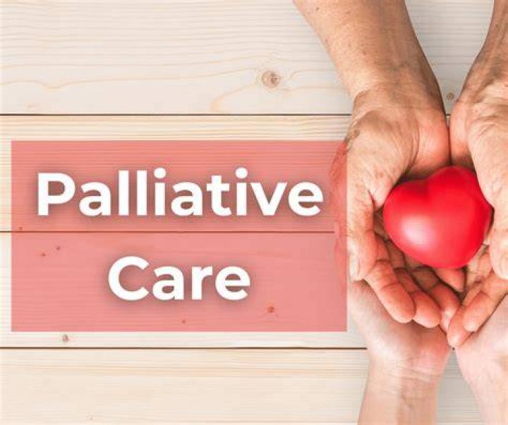 What does palliative care mean in a nursing home?
