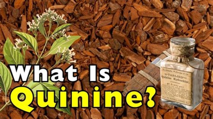 What does quinine do to the body?