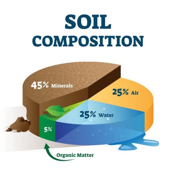 What does soil consist of?