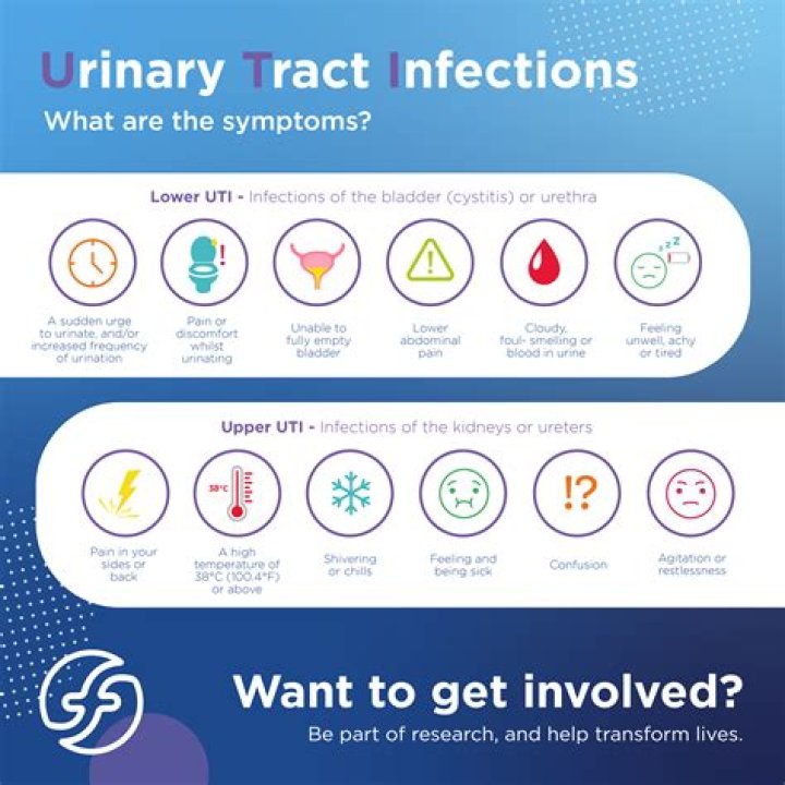 What else could it be if not a UTI?