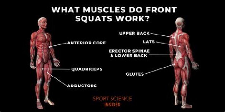 What front squats work?