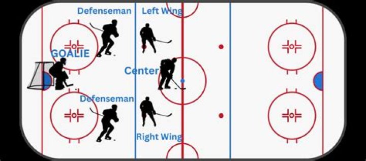 What hand are most hockey goalies?