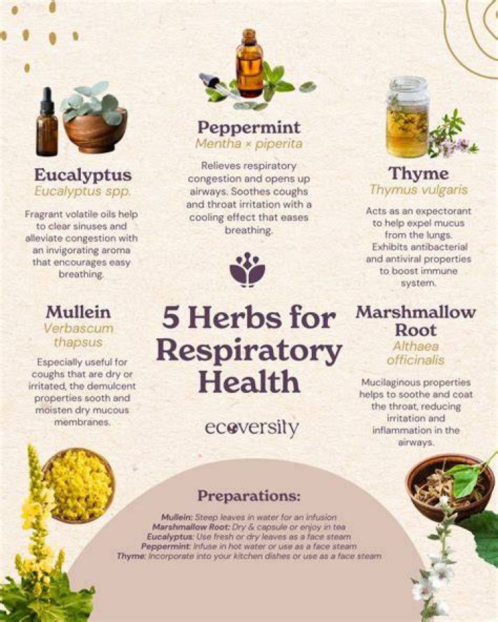 What herbs increase oxygen?