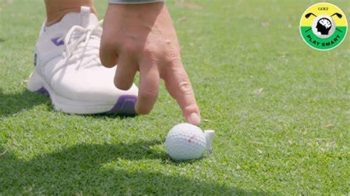 What if an animal takes your golf ball?
