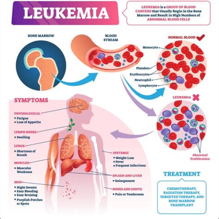 What infections are symptoms of leukemia?