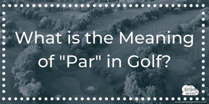 What is 1 over par called in golf?
