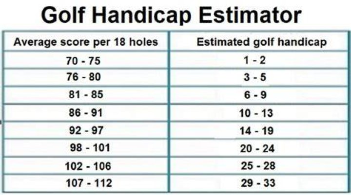 What is a 20 handicap in golf?