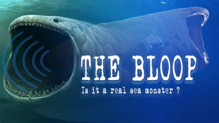 What is a bloop in baseball?