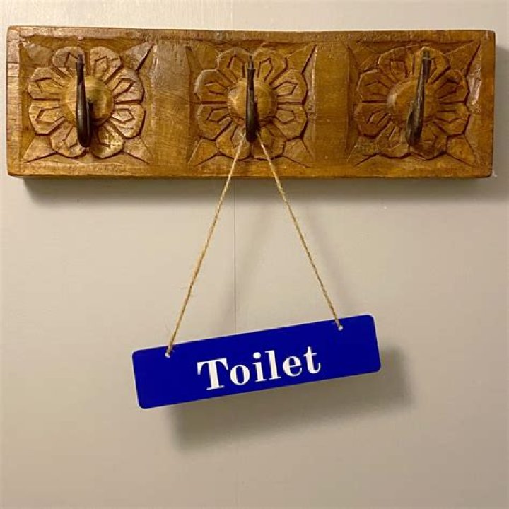 What is a French toilet?