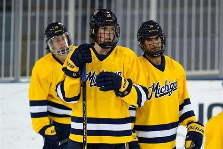 What is a Michigan hockey?