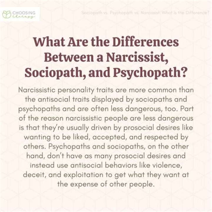 What is a narcissistic sociopath?