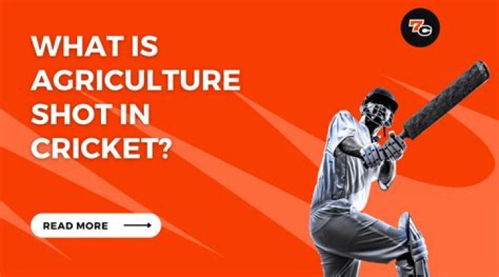 What is a six in cricket?