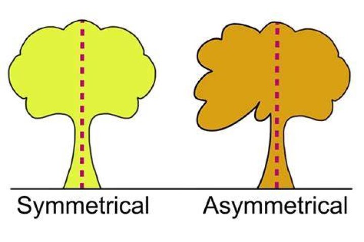What is a symmetrical relationship?