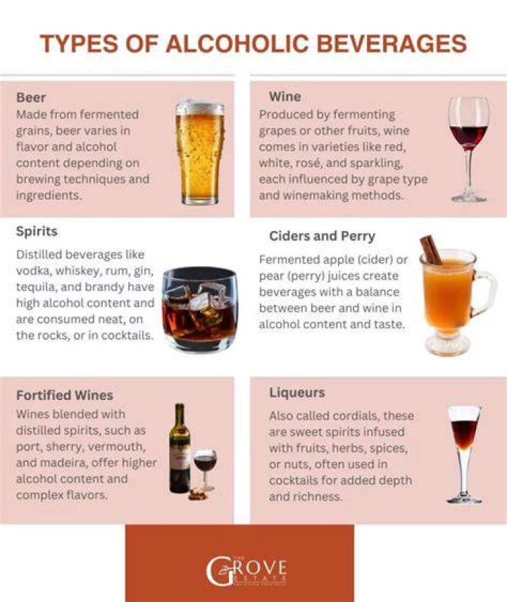 What is a type one alcoholic?