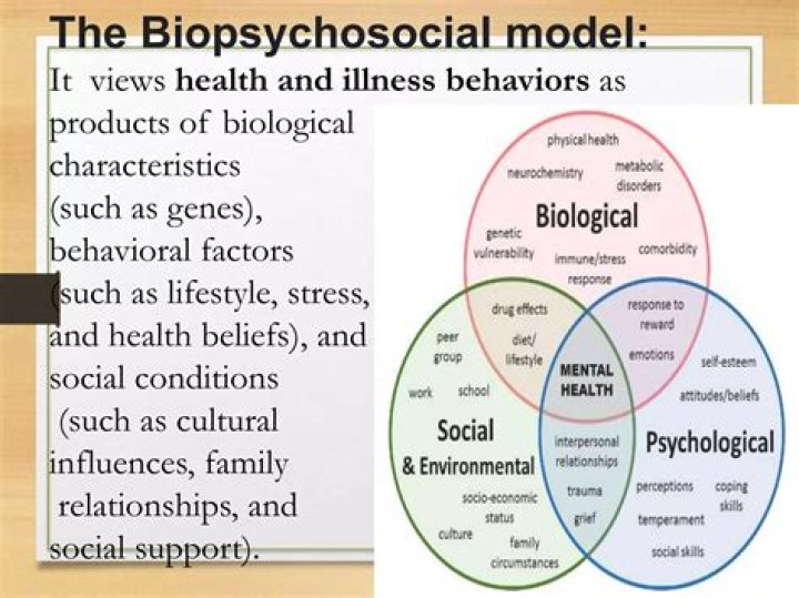 What is Biosocial theory in criminology?