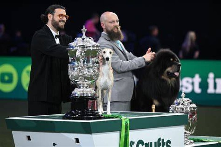 What is Crufts prize money?