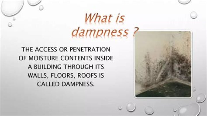 What is dampness in a ski?