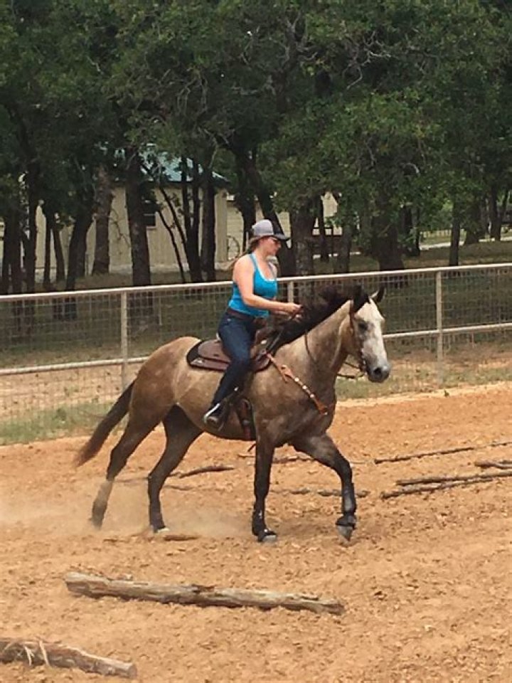 What is loping a horse?