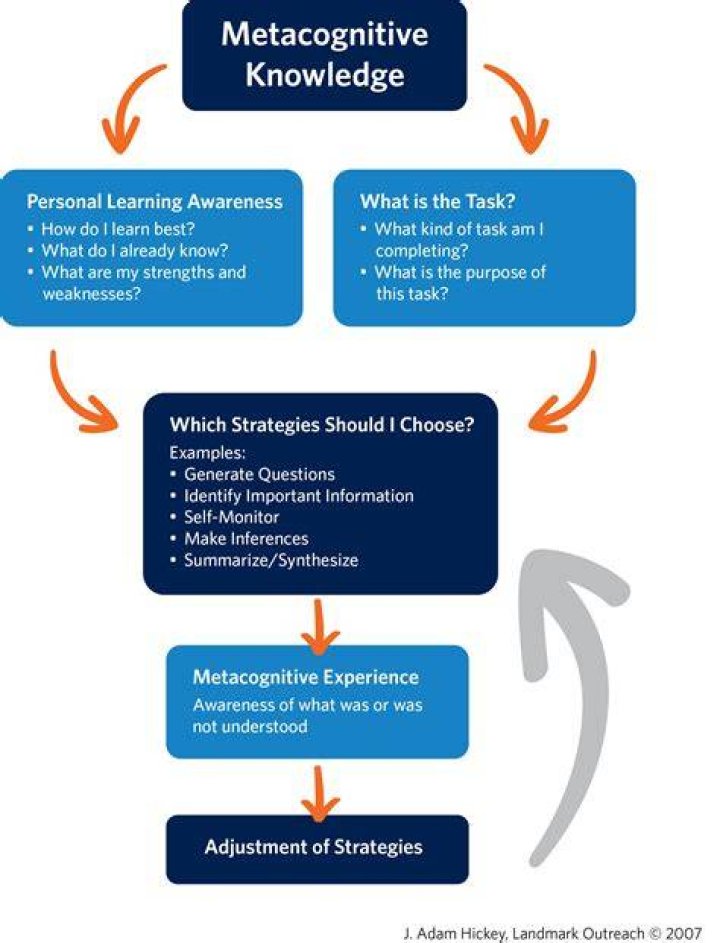 What is metacognitive learning strategies?
