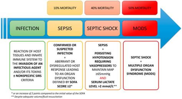 What is mild sepsis?