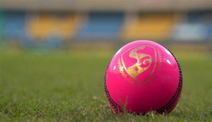 What is pink ball in cricket?