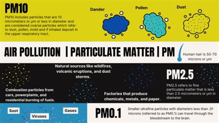 What is PM 2.5 Dyson?