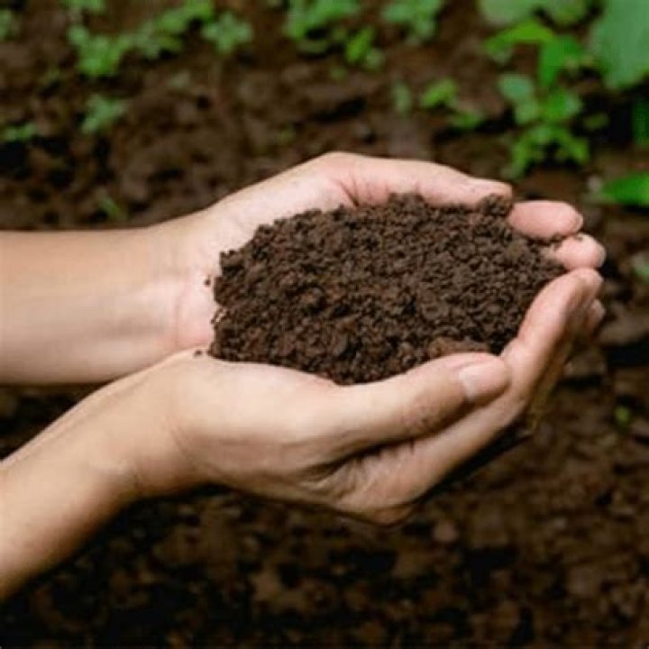 What is potassium humate fertilizer?