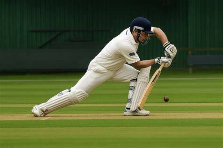 What is scoop shot in cricket?