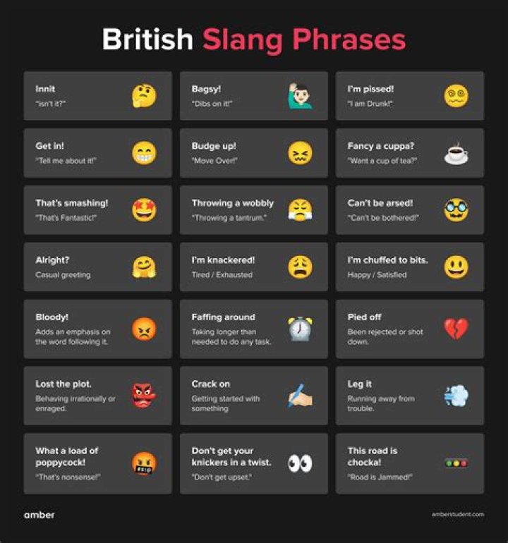 What is snapper slang for?