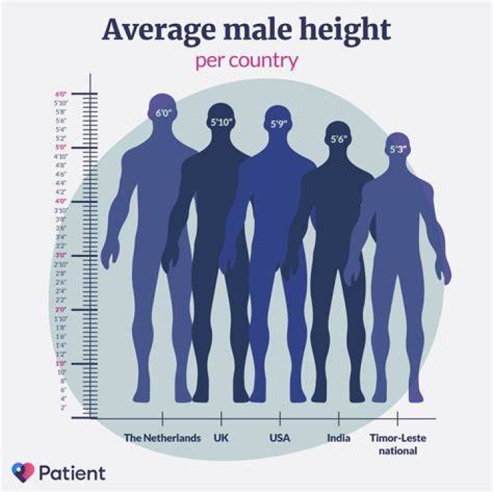 What is the average height of a cheerleader?